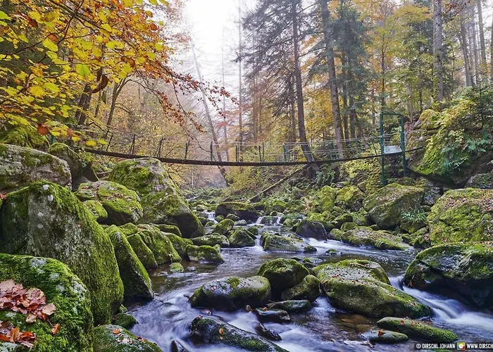 Zum Schmidbaecker 3* Freyung