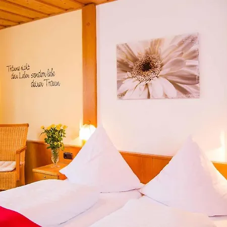 Zum Schmidbaecker Guest house Freyung
